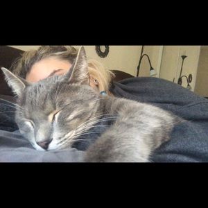 Meet your Posher, Rose